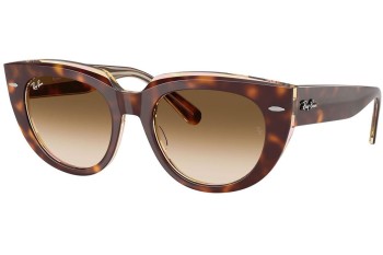 Ochelari de soare Ray-Ban RB2286 141451 Pătrați Havana