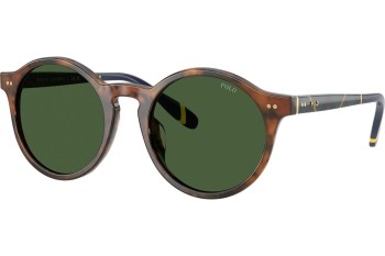 Ochelari de soare Polo Ralph Lauren PH4204U 562571 Rotunzi Havana