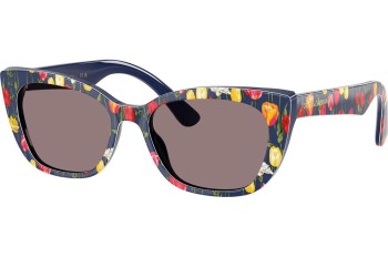 Ochelari de soare Dolce & Gabbana DX4427 34357N Cat Eye Multicolor