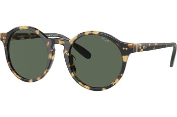 Ochelari de soare Polo Ralph Lauren PH4204U 500471 Rotunzi Havana