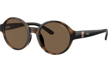 Ochelari de soare Polo Ralph Lauren PP9508U 500373 Rotunzi Havana