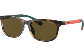 Ochelari de soare Polo Ralph Lauren PP9507U 500373 Pătrați Havana