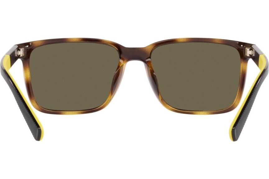 Ochelari de soare Polo Ralph Lauren PH4189U 5003/3 Dreptunghiulari Havana