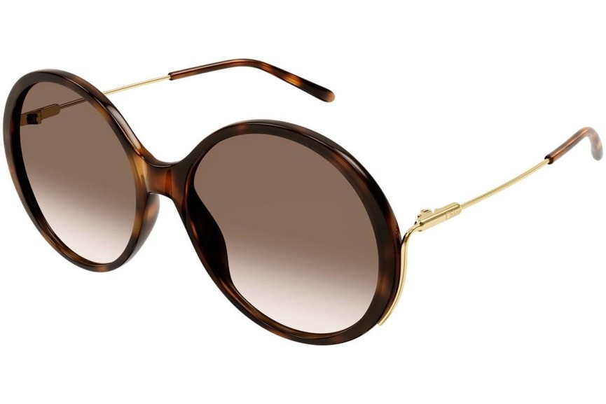 Ochelari de soare Chloe CH0171S 002 Rotunzi Havana