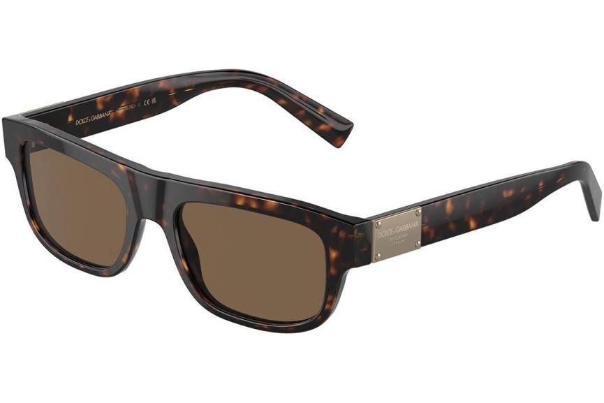 Ochelari de soare Dolce & Gabbana DG4432 502/73 Dreptunghiulari Havana