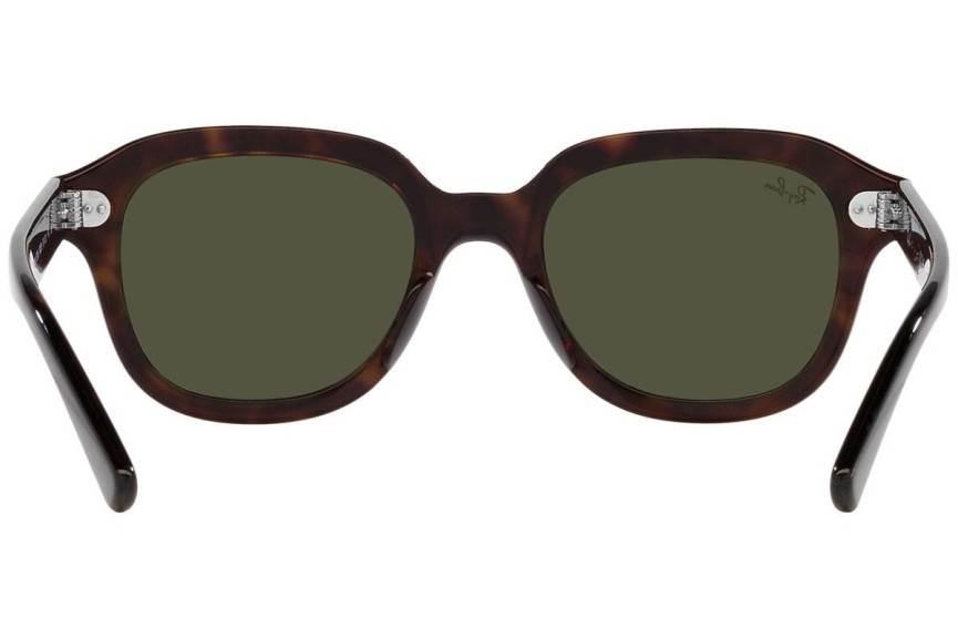 Ochelari de soare Ray-Ban Erik RB4398 902/31 Pătrați Havana