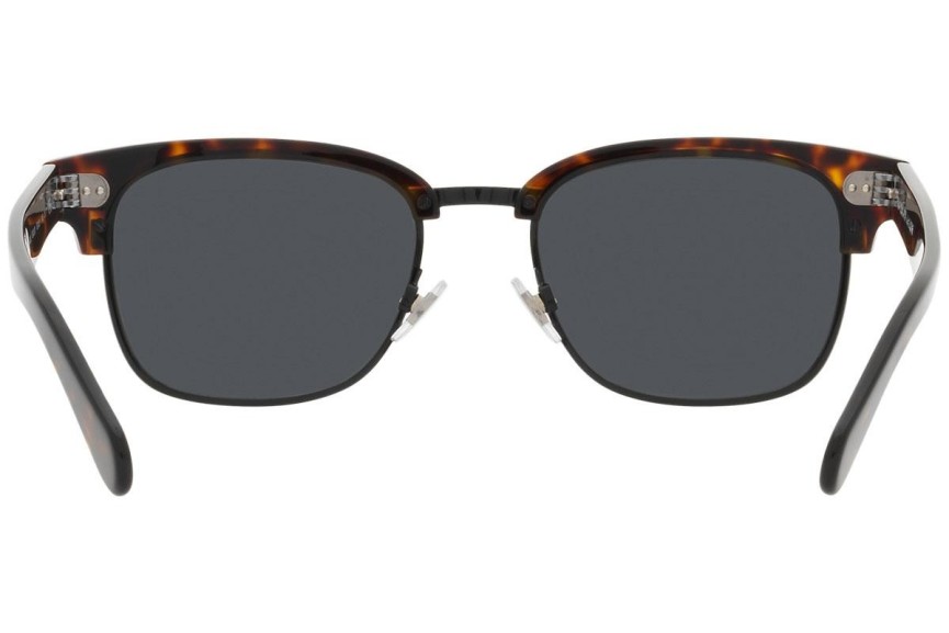 Ochelari de soare Polo Ralph Lauren PH4202 500387 Browline Havana