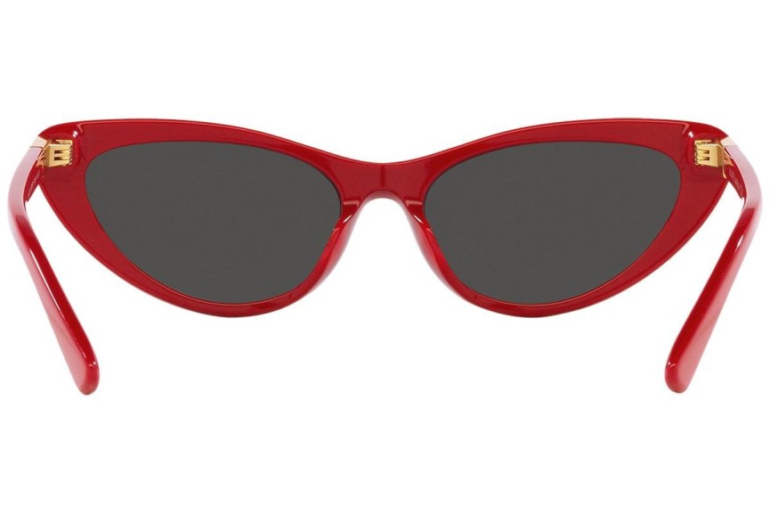 Ochelari de soare Polo Ralph Lauren PH4199U 607787 Cat Eye Roșii