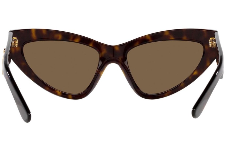 Ochelari de soare Dolce & Gabbana DG4439 502/73 Cat Eye Havana