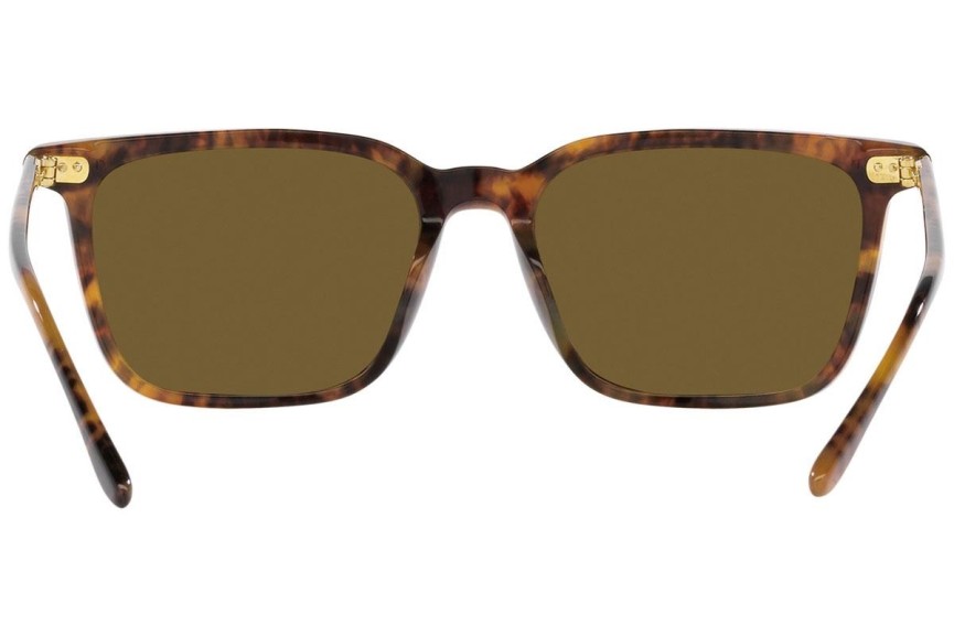 Ochelari de soare Polo Ralph Lauren PH4194U 501773 Pătrați Havana