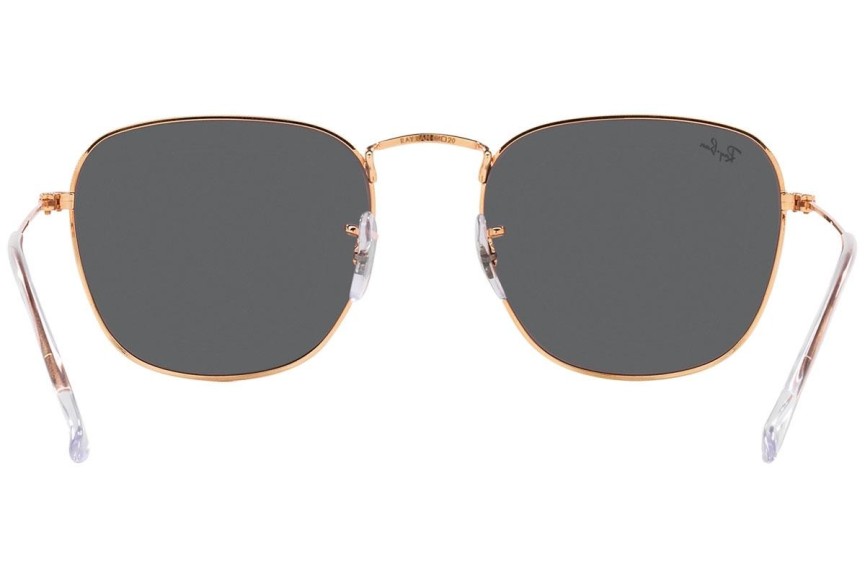 Ochelari de soare Ray-Ban Frank RB3857 9202B1 Pătrați Maro