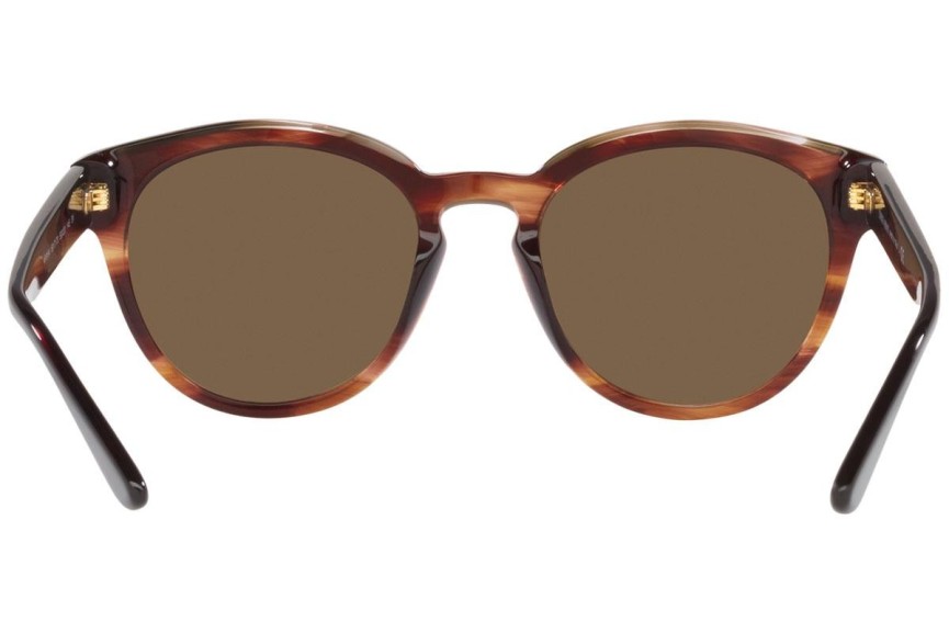 Ochelari de soare Giorgio Armani AR8164 591773 Rotunzi Havana