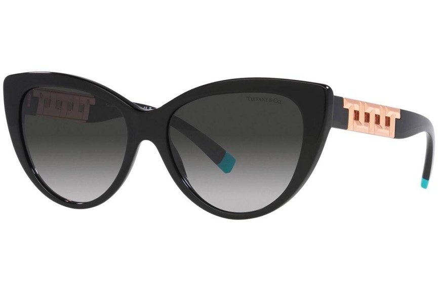 Ochelari de soare Tiffany & Co. TF4196 80013C Cat Eye Negri