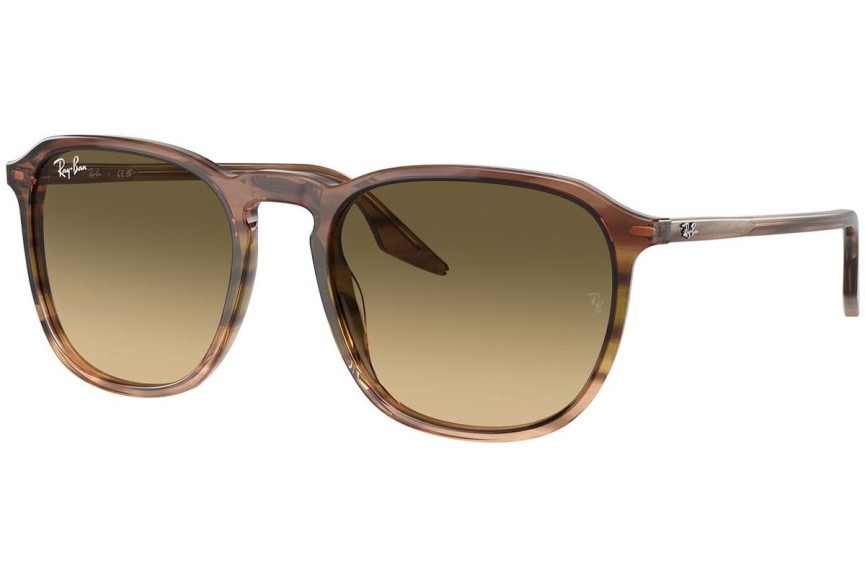 Ochelari de soare Ray-Ban RB2203 13920A Pătrați Maro