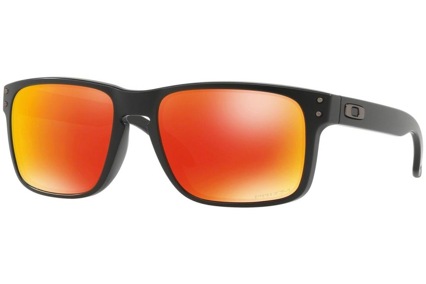 Oakley Holbrook OO9102-E2 PRIZM