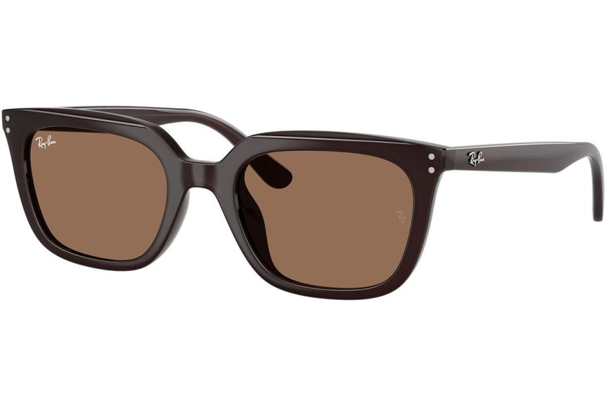 Ochelari de soare Ray-Ban RB4439D 623173 Pătrați Maro