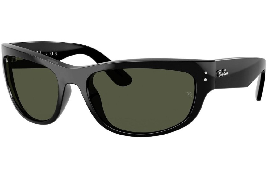 Ochelari de soare Ray-Ban RB2289 901/31 Dreptunghiulari Negri