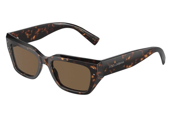 Ochelari de soare Dolce & Gabbana DG4462 502/73 Cat Eye Havana