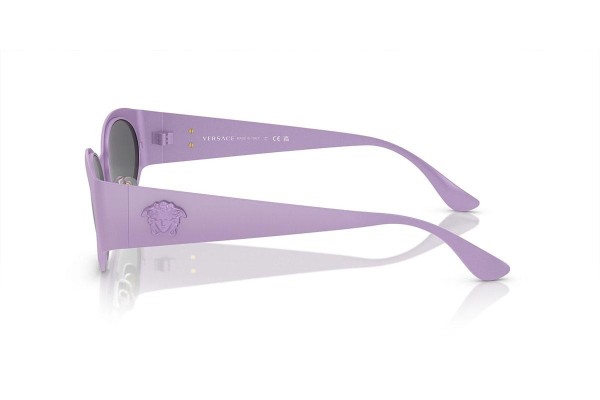 Ochelari de soare Versace VE2263 150287 Ovali Violeți