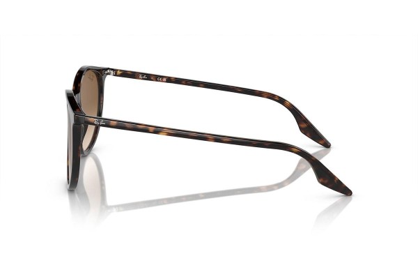 Ochelari de soare Ray-Ban RB2204 902/51 Rotunzi Havana