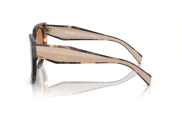 Ochelari de soare Prada PR14WS 01R2Z1 Cat Eye Havana