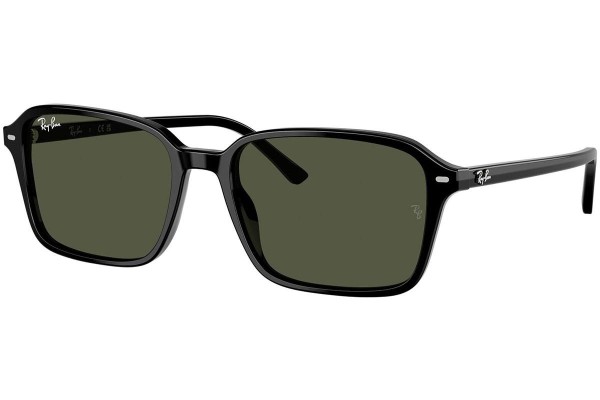 Ochelari de soare Ray-Ban RB2231 901/31 Pătrați Negri