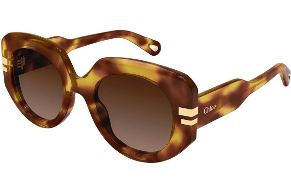 Ochelari de soare Chloe CH0257S 002 Rotunzi Havana