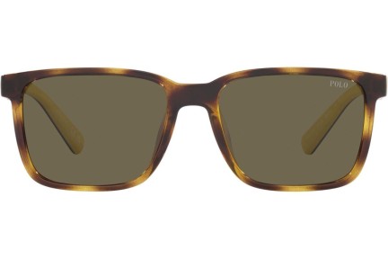 Ochelari de soare Polo Ralph Lauren PH4189U 5003/3 Dreptunghiulari Havana