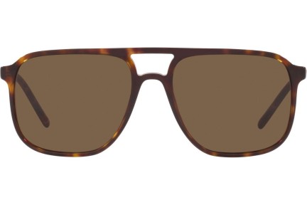 Dolce & Gabbana DG4423 502/73