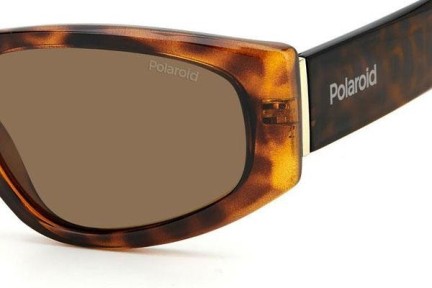 Ochelari de soare Polaroid PLD6169/S 086/SP Polarized Cat Eye Havana