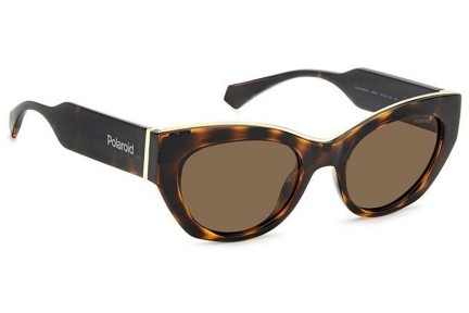 Ochelari de soare Polaroid PLD6199/S/X 086/SP Polarized Cat Eye Havana