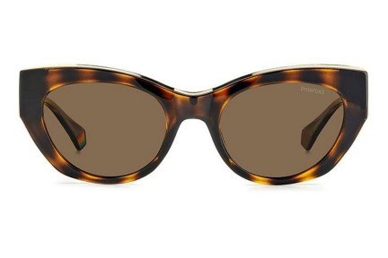 Ochelari de soare Polaroid PLD6199/S/X 086/SP Polarized Cat Eye Havana