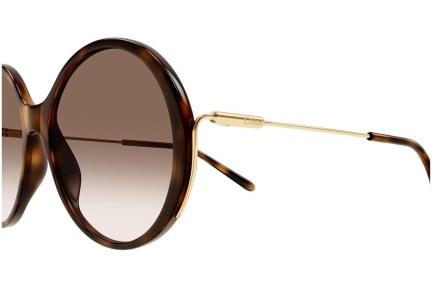 Ochelari de soare Chloe CH0171S 002 Rotunzi Havana