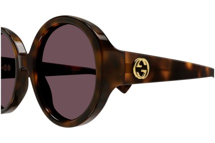 Ochelari de soare Gucci GG1256S 003 Rotunzi Havana