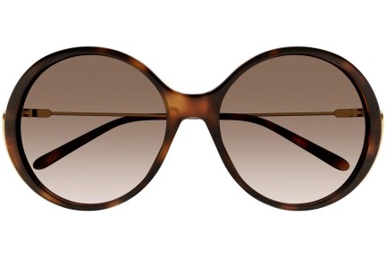 Ochelari de soare Chloe CH0171S 002 Rotunzi Havana