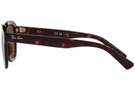 Ochelari de soare Ray-Ban Erik RB4398 902/57 Pătrați Havana