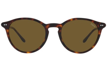 Ochelari de soare Polo Ralph Lauren PH4193 500373 Rotunzi Havana