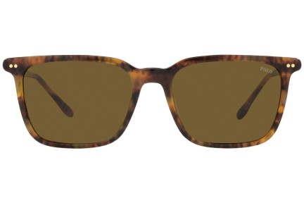 Ochelari de soare Polo Ralph Lauren PH4194U 501773 Pătrați Havana