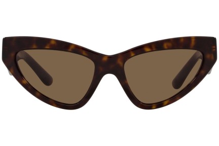 Ochelari de soare Dolce & Gabbana DG4439 502/73 Cat Eye Havana