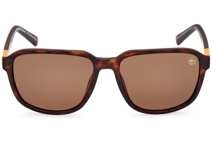 Ochelari de soare Timberland TB9311 52H Polarized Pătrați Havana