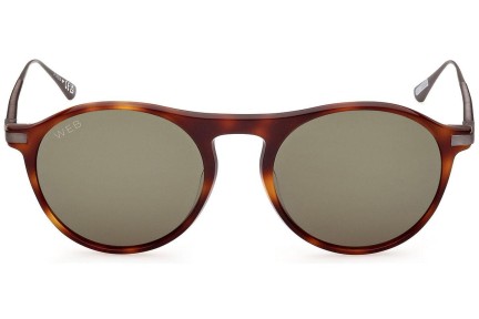 Ochelari de soare Web WE0346 52N Rotunzi Havana