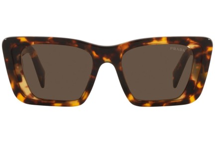 Ochelari de soare Prada PR08YS 01V8C1 Cat Eye Havana