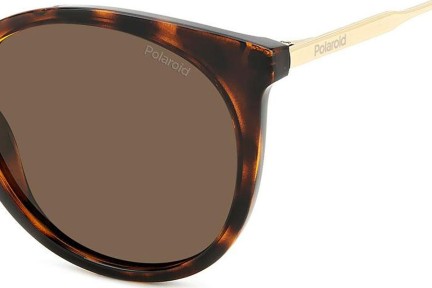 Ochelari de soare Polaroid PLD4146/S/X 086/SP Polarized Cat Eye Havana