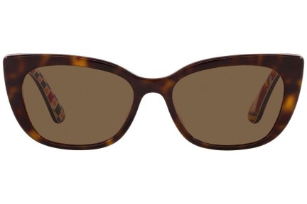 Ochelari de soare Dolce & Gabbana DX4427 321773 Cat Eye Havana