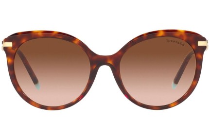 Ochelari de soare Tiffany & Co. TF4189B 80023B Cat Eye Havana