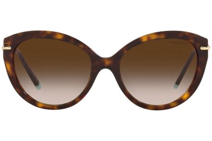 Ochelari de soare Tiffany & Co. TF4187 80153B Cat Eye Havana