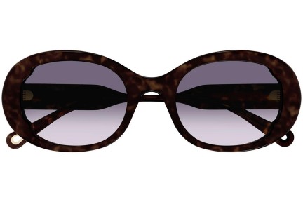 Ochelari de soare Chloe CH0197S 002 Ovali Havana