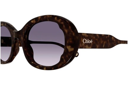 Ochelari de soare Chloe CH0197S 002 Ovali Havana