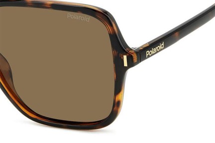 Ochelari de soare Polaroid PLD6219/S 086/SP Polarized Pătrați Havana