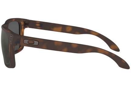 Ochelari de soare Oakley Holbrook OO9102-F4 PRIZM Pătrați Havana